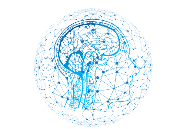 Logo FGP My Brain