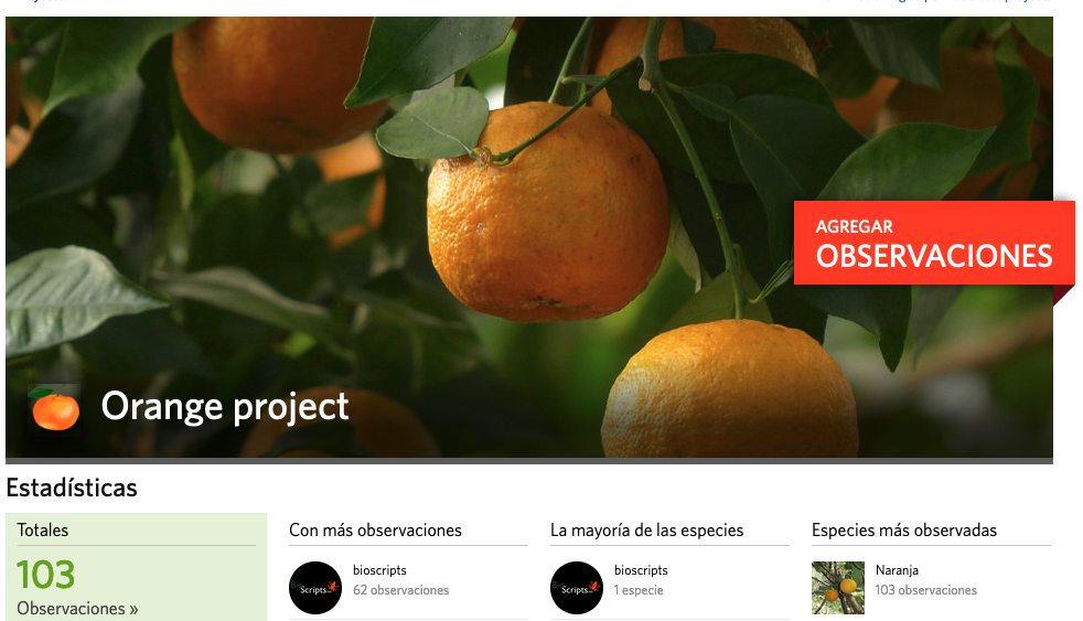 orange project